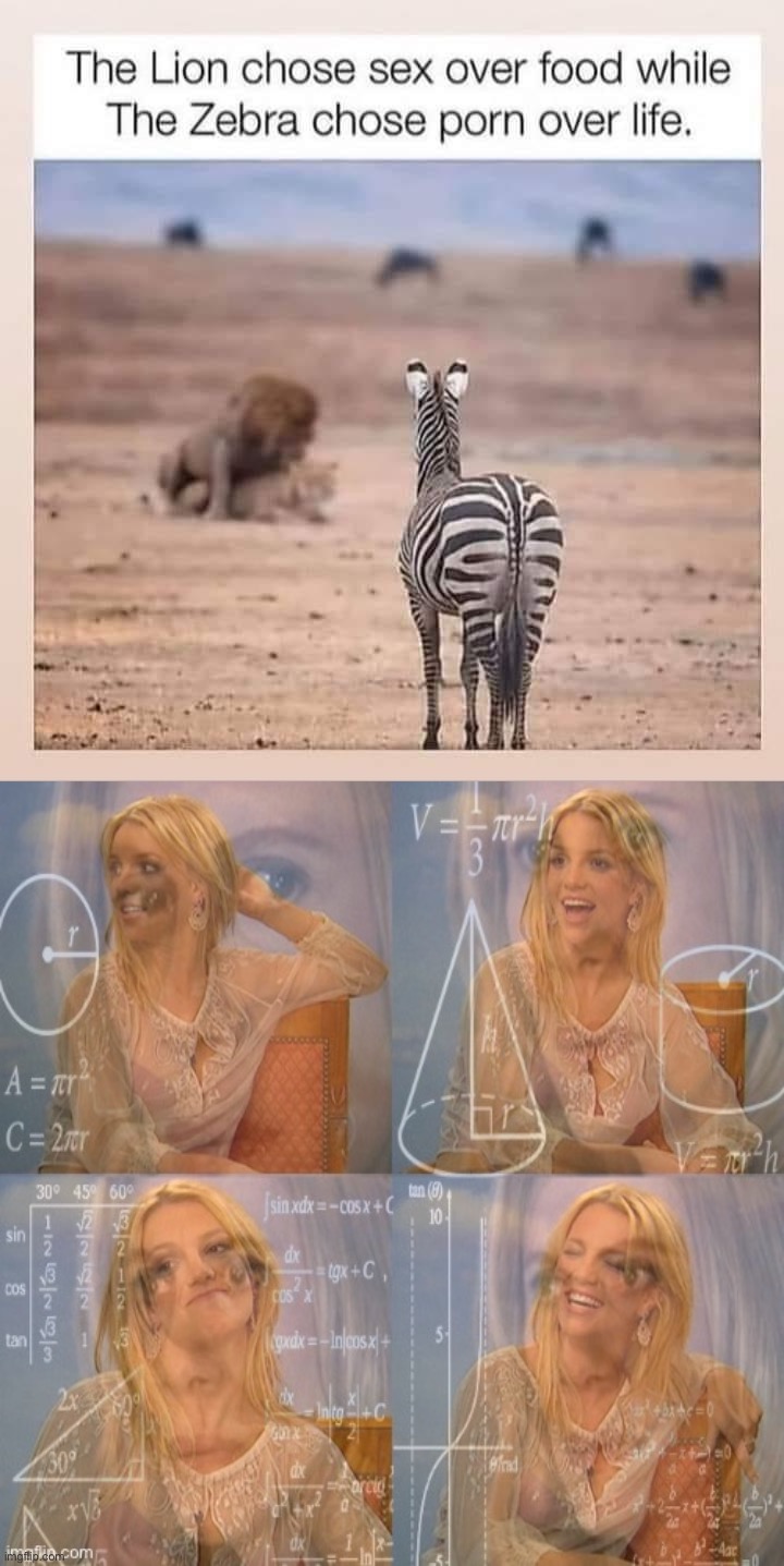 Free Britney | image tagged in lion vs zebra,calculating britney spears | made w/ Imgflip meme maker