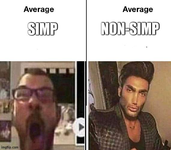 Average Fan vs. Average Enjoyer | SIMP NON-SIMP | image tagged in average fan vs average enjoyer | made w/ Imgflip meme maker