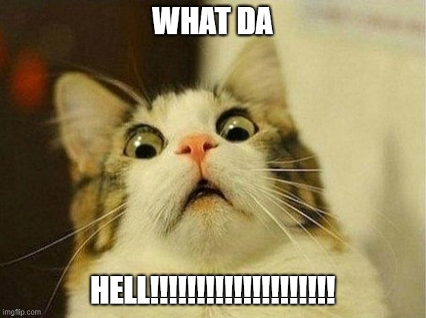 Scared Cat Meme | WHAT DA; HELL!!!!!!!!!!!!!!!!!!!! | image tagged in memes,scared cat | made w/ Imgflip meme maker