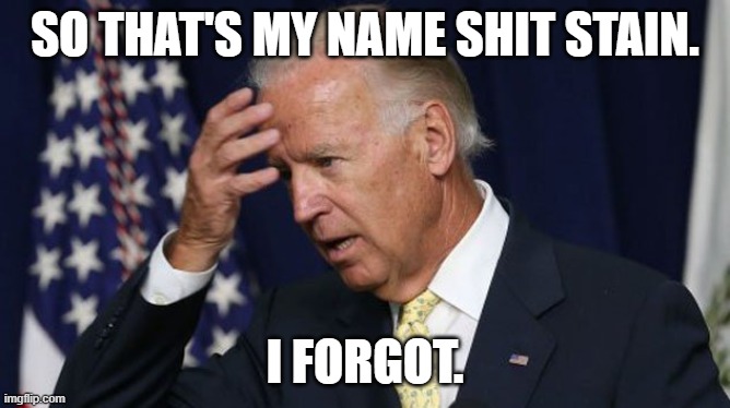 Joe Biden worries | SO THAT'S MY NAME SHIT STAIN. I FORGOT. | image tagged in joe biden worries | made w/ Imgflip meme maker