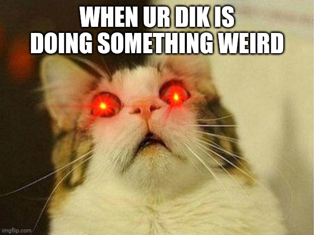 Scared Cat Meme | WHEN UR DIK IS DOING SOMETHING WEIRD | image tagged in memes,scared cat | made w/ Imgflip meme maker