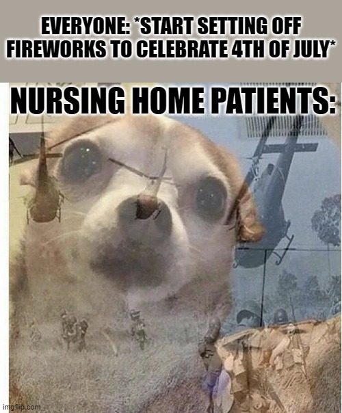 PTSD Chihuahua | EVERYONE: *START SETTING OFF FIREWORKS TO CELEBRATE 4TH OF JULY*; NURSING HOME PATIENTS: | image tagged in ptsd chihuahua | made w/ Imgflip meme maker