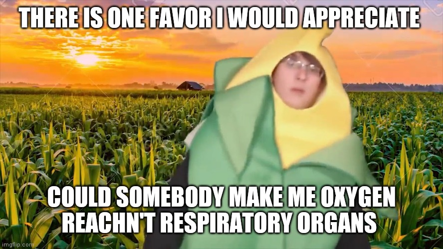 corn man | THERE IS ONE FAVOR I WOULD APPRECIATE; COULD SOMEBODY MAKE ME OXYGEN REACHN'T RESPIRATORY ORGANS | image tagged in corn man | made w/ Imgflip meme maker