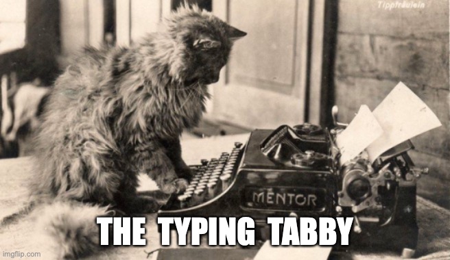 THE  TYPING  TABBY | made w/ Imgflip meme maker