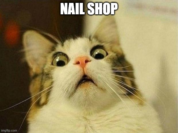 Scared Cat | NAIL SHOP | image tagged in memes,scared cat | made w/ Imgflip meme maker