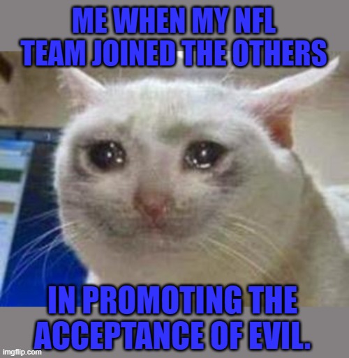 Sad cat | ME WHEN MY NFL TEAM JOINED THE OTHERS IN PROMOTING THE ACCEPTANCE OF EVIL. | image tagged in sad cat | made w/ Imgflip meme maker