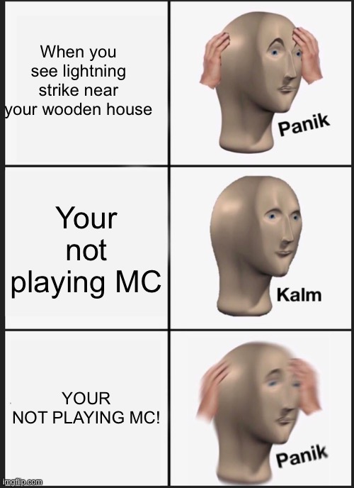 Smort name | When you see lightning strike near your wooden house; Your not playing MC; YOUR NOT PLAYING MC! | image tagged in memes,panik kalm panik | made w/ Imgflip meme maker