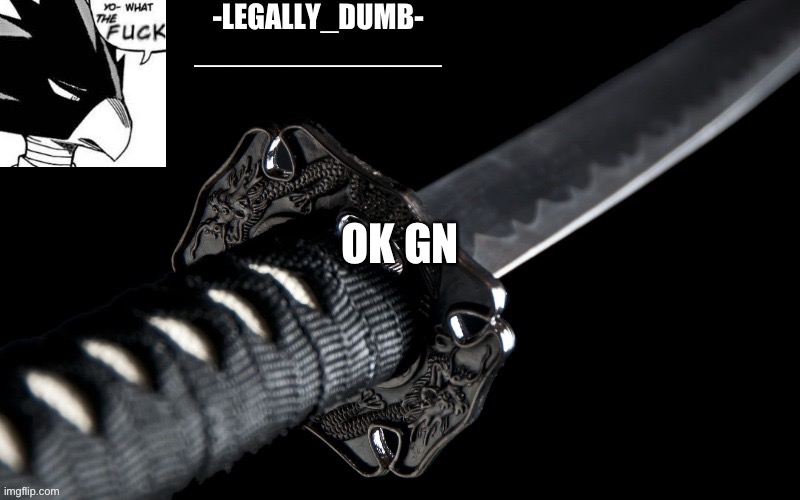 Legally_dumb’s template | OK GN | image tagged in legally_dumb s template | made w/ Imgflip meme maker