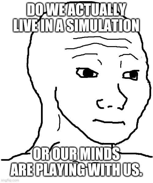 wojak | DO WE ACTUALLY LIVE IN A SIMULATION; OR OUR MINDS ARE PLAYING WITH US. | image tagged in wojak | made w/ Imgflip meme maker