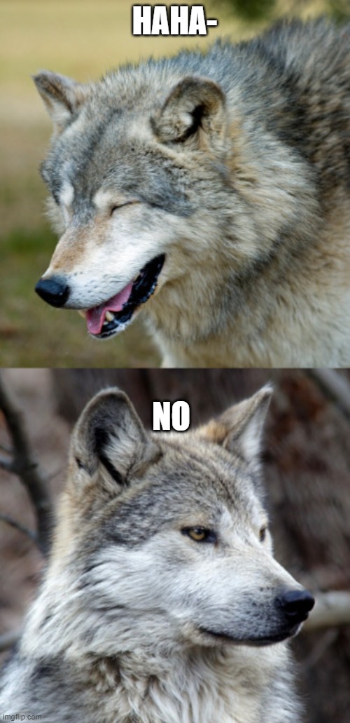 haha-no-wolf | HAHA- NO | image tagged in haha-no-wolf | made w/ Imgflip meme maker