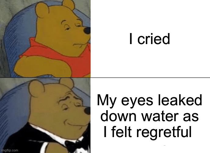 C | I cried; My eyes leaked down water as I felt regretful | image tagged in f,u,n,y | made w/ Imgflip meme maker