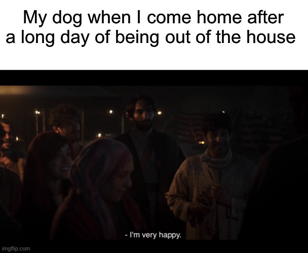 My dog when I come home after a long day of being out of the house | image tagged in blank white template,the chosen | made w/ Imgflip meme maker