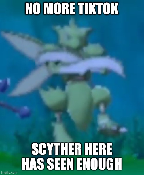 TikTok trash | NO MORE TIKTOK; SCYTHER HERE HAS SEEN ENOUGH | image tagged in scyther crossed arms | made w/ Imgflip meme maker