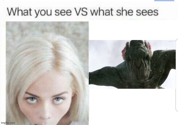 What you see VS what she sees | image tagged in what you see vs what she sees | made w/ Imgflip meme maker