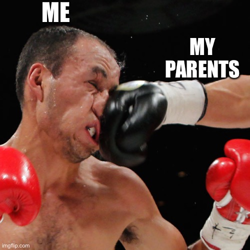 Boxer Getting Punched In The Face | ME; MY PARENTS | image tagged in boxer getting punched in the face | made w/ Imgflip meme maker