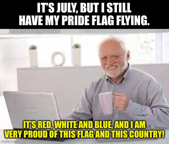 Pride | IT’S JULY, BUT I STILL HAVE MY PRIDE FLAG FLYING. IT’S RED, WHITE AND BLUE, AND I AM VERY PROUD OF THIS FLAG AND THIS COUNTRY! | image tagged in harold | made w/ Imgflip meme maker