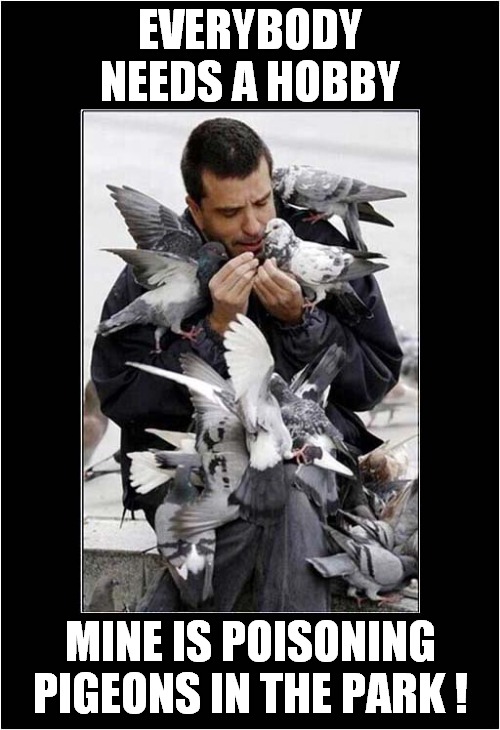 Poisoning Pigeons ! | EVERYBODY NEEDS A HOBBY; MINE IS POISONING PIGEONS IN THE PARK ! | image tagged in poison,pigeons,dark humour | made w/ Imgflip meme maker