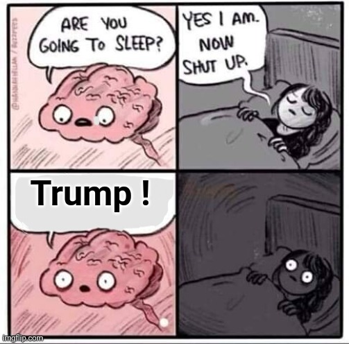 Are you going to sleep? | Trump ! | image tagged in are you going to sleep | made w/ Imgflip meme maker