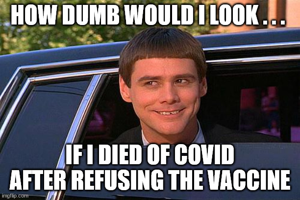 Dump Anti-Vax | HOW DUMB WOULD I LOOK . . . IF I DIED OF COVID AFTER REFUSING THE VACCINE | image tagged in cool and stupid,antivax antivaxer,corona virus covid19 | made w/ Imgflip meme maker