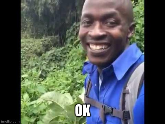 Hi okay | OK | image tagged in hi okay | made w/ Imgflip meme maker