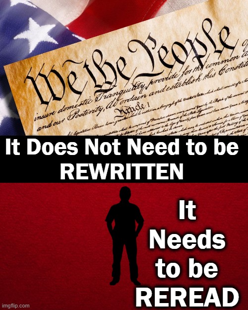 “This nation will remain the land of the free only so long as it is the home of the brave.” - Elmer Davis |  It Does Not Need to be 
REWRITTEN; It 
Needs 
to be 
REREAD | image tagged in political meme,independence day,america,love of country,sovereignty,our future | made w/ Imgflip meme maker