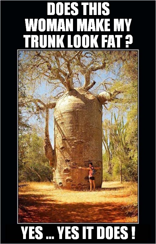 A Tree With Low Self Esteem ? | DOES THIS WOMAN MAKE MY TRUNK LOOK FAT ? YES ... YES IT DOES ! | image tagged in fun,tree,fat,self esteem | made w/ Imgflip meme maker
