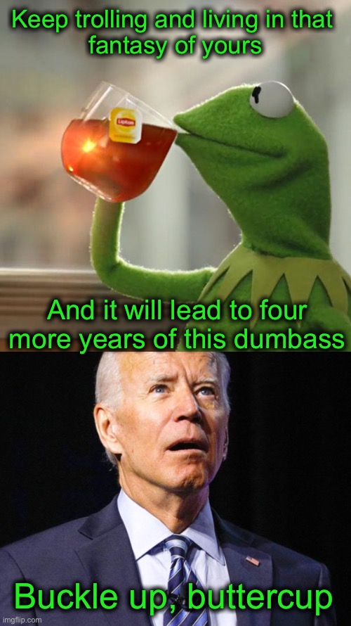 Keep trolling and living in that 
fantasy of yours And it will lead to four more years of this dumbass Buckle up, buttercup | image tagged in memes,but that's none of my business,joe biden | made w/ Imgflip meme maker