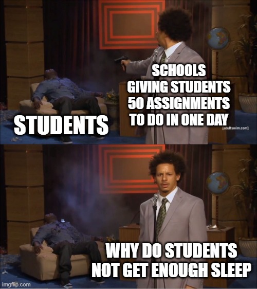 free pineberries | SCHOOLS GIVING STUDENTS 50 ASSIGNMENTS TO DO IN ONE DAY; STUDENTS; WHY DO STUDENTS NOT GET ENOUGH SLEEP | image tagged in memes,who killed hannibal | made w/ Imgflip meme maker