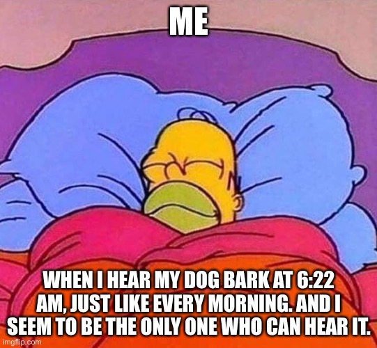 Dog Bark Alarm | ME; WHEN I HEAR MY DOG BARK AT 6:22 AM, JUST LIKE EVERY MORNING. AND I SEEM TO BE THE ONLY ONE WHO CAN HEAR IT. | image tagged in homer simpson sleeping peacefully | made w/ Imgflip meme maker