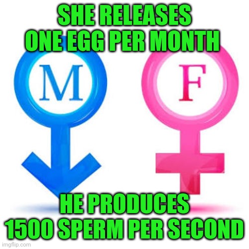 Why sex is important to men | SHE RELEASES ONE EGG PER MONTH; HE PRODUCES 1500 SPERM PER SECOND | image tagged in the difference between men and women | made w/ Imgflip meme maker