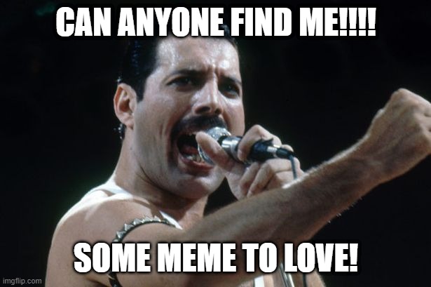 CAN ANYONE FIND ME!!!! SOME MEME TO LOVE! | image tagged in freddie mercury | made w/ Imgflip meme maker