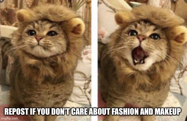 Very cute | REPOST IF YOU DON’T CARE ABOUT FASHION AND MAKEUP | image tagged in very cute | made w/ Imgflip meme maker