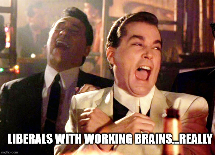 Good Fellas Hilarious Meme | LIBERALS WITH WORKING BRAINS...REALLY | image tagged in memes,good fellas hilarious | made w/ Imgflip meme maker