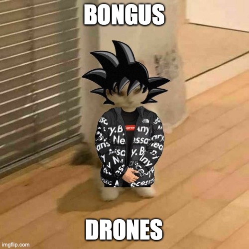 goku drip cat | BONGUS DRONES | image tagged in goku drip cat | made w/ Imgflip meme maker