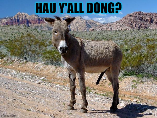 How Y'all Dong? | HAU Y'ALL DONG? | image tagged in donkey dong | made w/ Imgflip meme maker