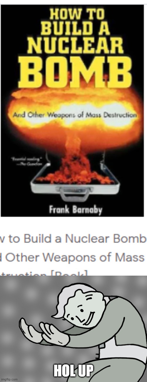 why is there a book on this? | HOL UP | image tagged in hol up,nuclear bomb book | made w/ Imgflip meme maker