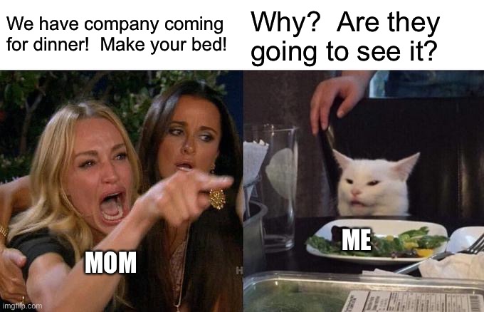 Might as well clean the basement boiler room while I’m at it | We have company coming for dinner!  Make your bed! Why?  Are they going to see it? ME; MOM | image tagged in memes,woman yelling at cat,funny,mom | made w/ Imgflip meme maker
