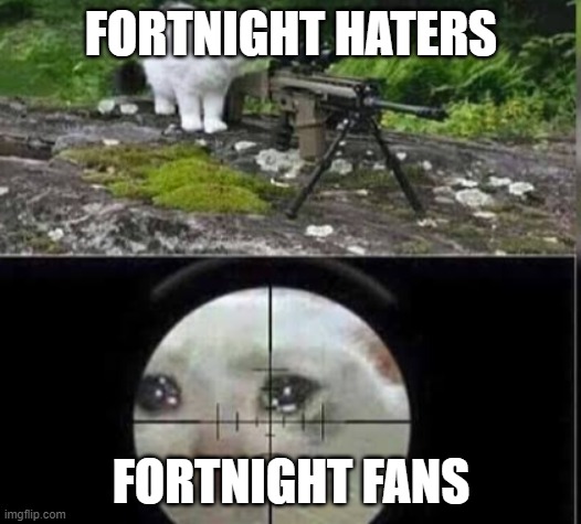 cat sniper | FORTNIGHT HATERS FORTNIGHT FANS | image tagged in cat sniper | made w/ Imgflip meme maker