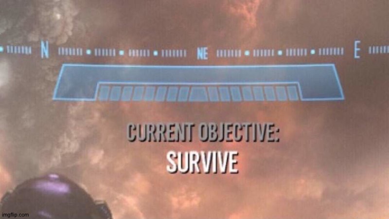 Current Objective: Survive | image tagged in current objective survive | made w/ Imgflip meme maker