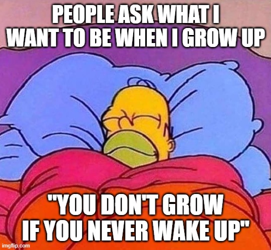Have you met people like this? | PEOPLE ASK WHAT I WANT TO BE WHEN I GROW UP; "YOU DON'T GROW IF YOU NEVER WAKE UP" | image tagged in homer simpson sleeping peacefully | made w/ Imgflip meme maker
