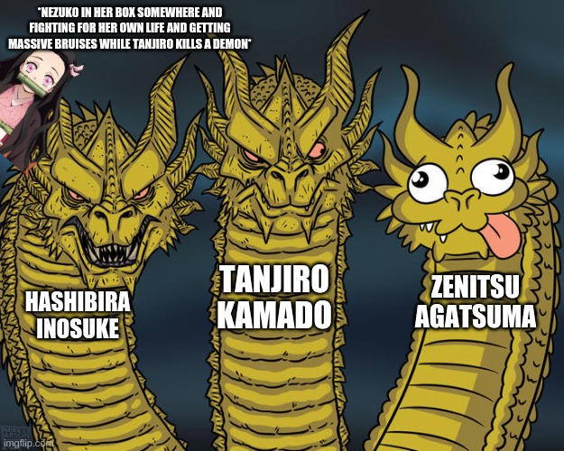 No hate against Zenitsu tho | *NEZUKO IN HER BOX SOMEWHERE AND FIGHTING FOR HER OWN LIFE AND GETTING MASSIVE BRUISES WHILE TANJIRO KILLS A DEMON*; TANJIRO KAMADO; ZENITSU AGATSUMA; HASHIBIRA INOSUKE | image tagged in three-headed dragon | made w/ Imgflip meme maker