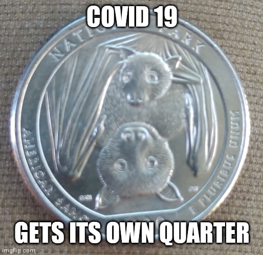 Coincidence | COVID 19; GETS ITS OWN QUARTER | image tagged in covid-19,bats,government,coins | made w/ Imgflip meme maker