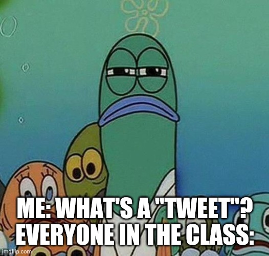 Twitter is ridiculous | ME: WHAT'S A "TWEET"?
EVERYONE IN THE CLASS: | image tagged in spongebob,why,twitter | made w/ Imgflip meme maker