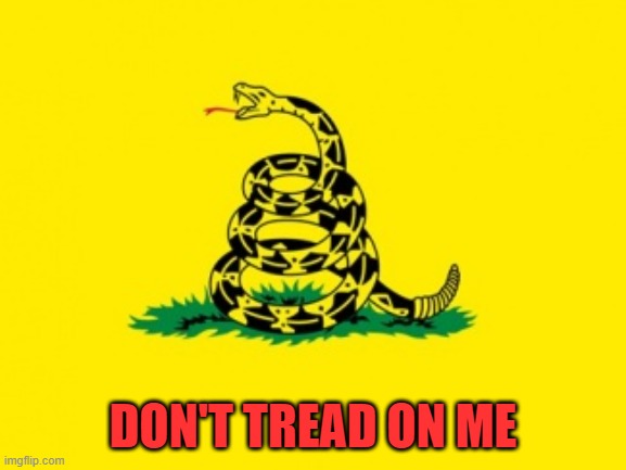 Gadsden Flag | DON'T TREAD ON ME | image tagged in gadsden flag | made w/ Imgflip meme maker