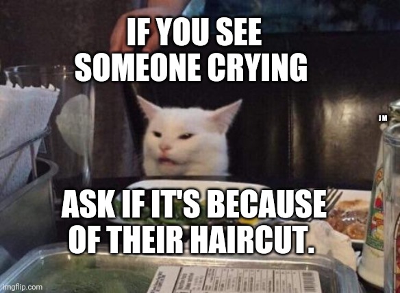Salad cat | IF YOU SEE SOMEONE CRYING; J M; ASK IF IT'S BECAUSE OF THEIR HAIRCUT. | image tagged in salad cat | made w/ Imgflip meme maker