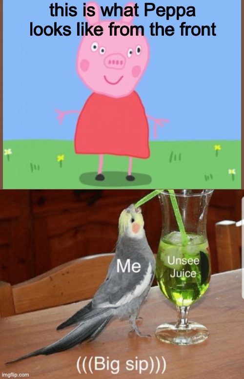 :l | this is what Peppa looks like from the front | image tagged in unsee juice | made w/ Imgflip meme maker