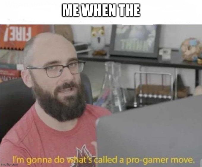 Pro Gamer move | ME WHEN THE | image tagged in pro gamer move | made w/ Imgflip meme maker