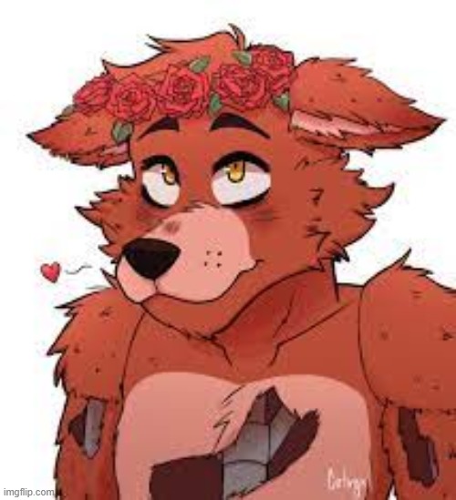 Coot foxy | image tagged in coot foxy | made w/ Imgflip meme maker