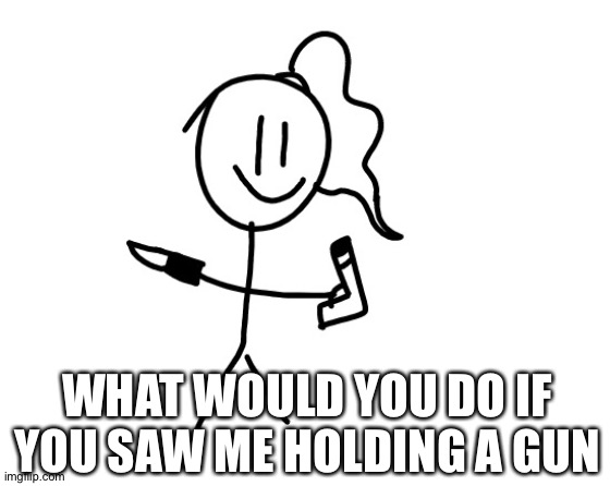 WHAT WOULD YOU DO IF YOU SAW ME HOLDING A GUN | image tagged in lily should die temp | made w/ Imgflip meme maker