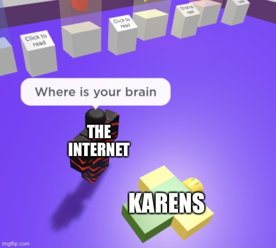 I don’t know what to name this | THE INTERNET; KARENS | image tagged in stratosfear where is your brain,karens,oh wow are you actually reading these tags | made w/ Imgflip meme maker